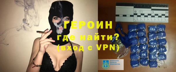 гашик Пестово