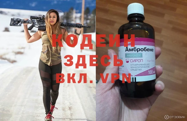 гашик Пестово