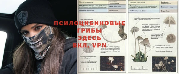mdpv Бронницы